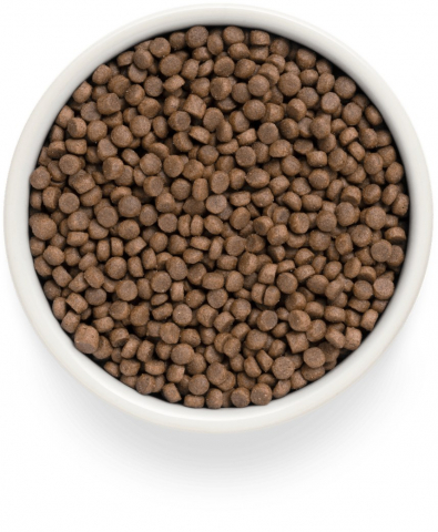 Premier Cat Sterilised Индейка для кошек 2