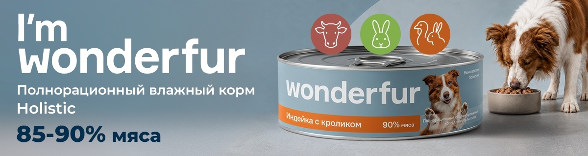 brand-