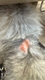 692696141a8cb.jpeg